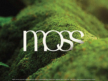 MOSS - Studios e Flats a 150 metros do mar em Jo�o Pessoa.